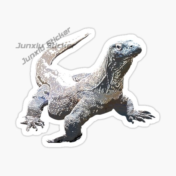 Komodo Nationalpark Komodo Isl – Car Accessories Bali Bewertung und Preis