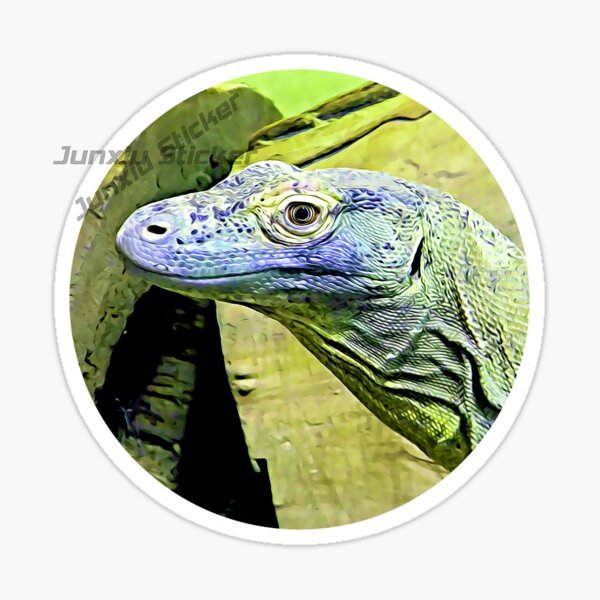 Komodo Nationalpark Komodo Isl – Car Accessories Bali Bewertung und Preis
