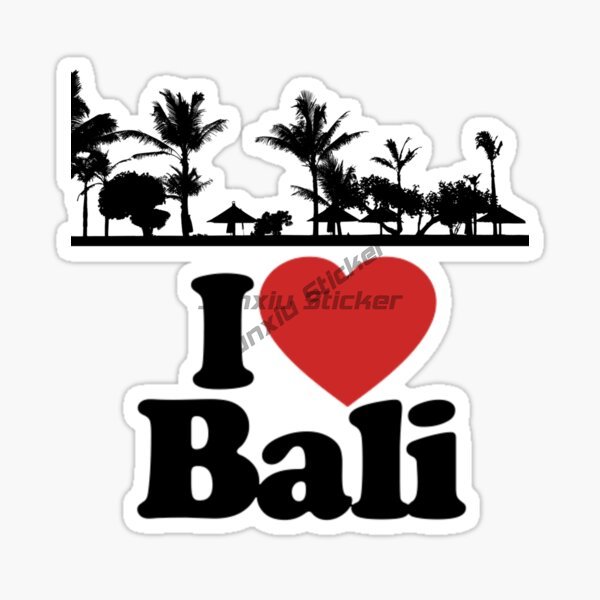 BALI INDONESIA Strand Surfen L – Car Accessories Bali Bewertung und Preis